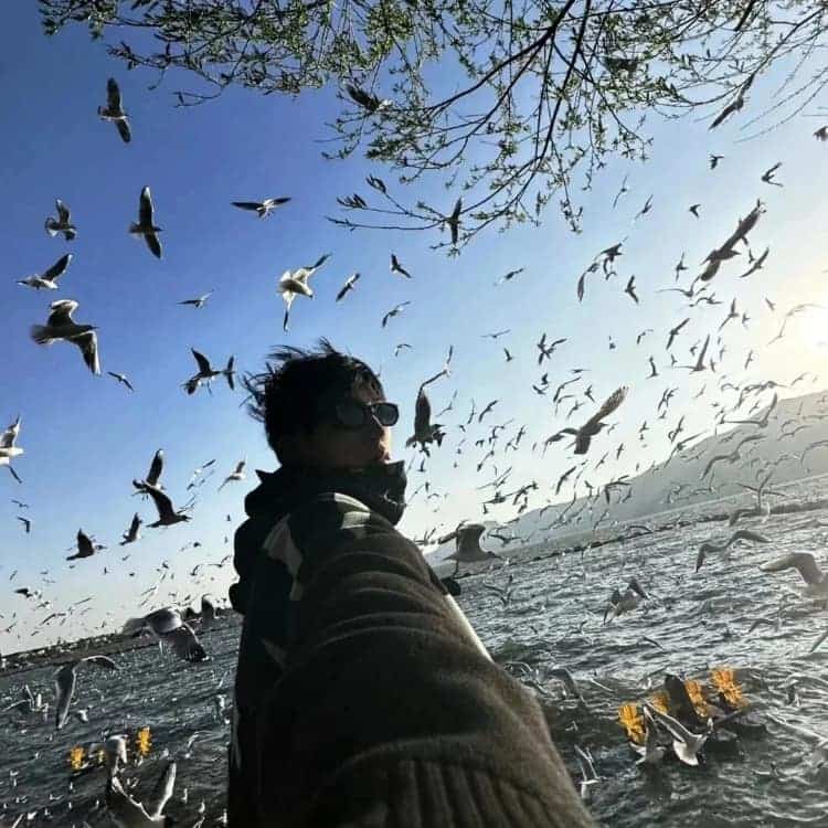Birds by the Sea · S288