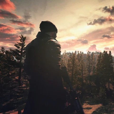 Fortnite · Silhouette at a Forest Sunset · S379