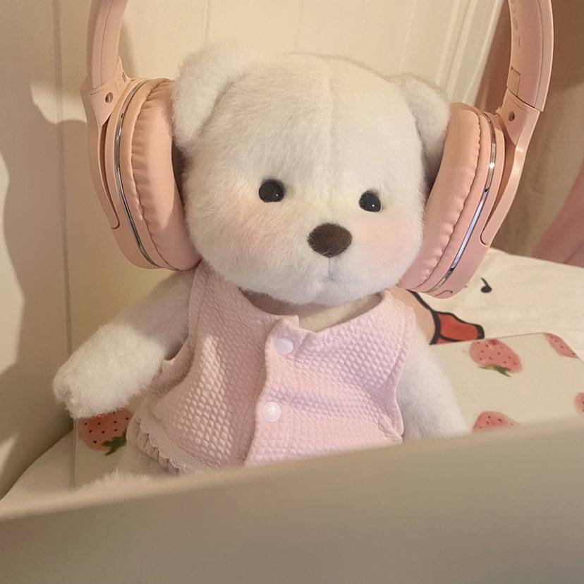 Bear with Pink Headphones · S402