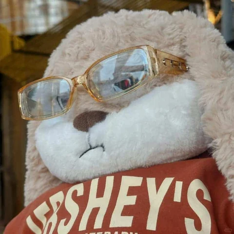 Lop Bunny in Sunglasses · S405