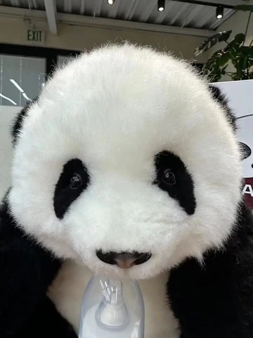 Black and White Panda Plush · S408