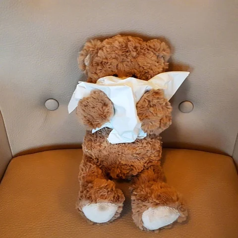 Teddy Bear in a White Vest · S414