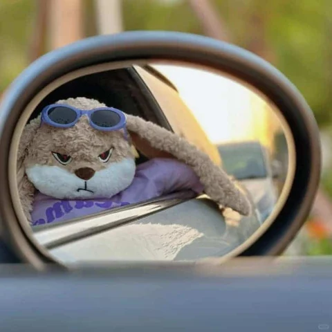 Sunglasses Bunny in a Car Mirror · S418