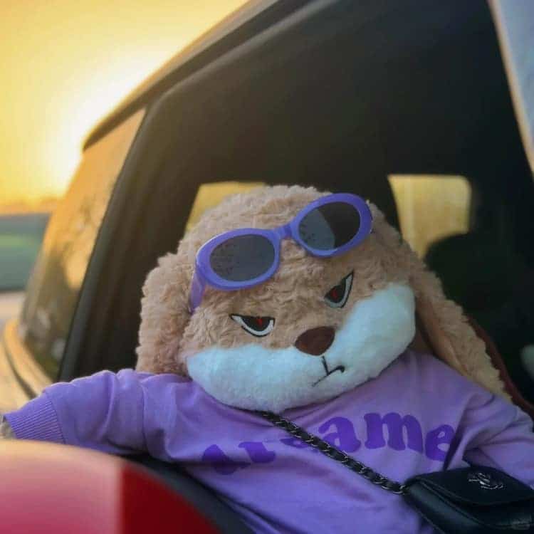 Sunglasses Bunny in Purple · S429