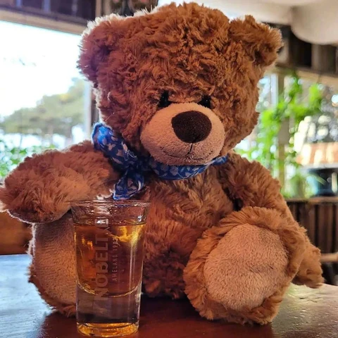 Teddy Bear with an Iced Drink · S442