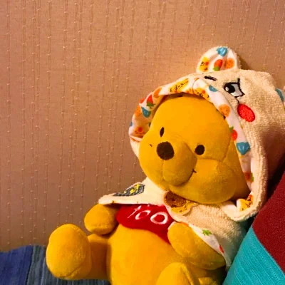Winnie the Pooh Plush · S446