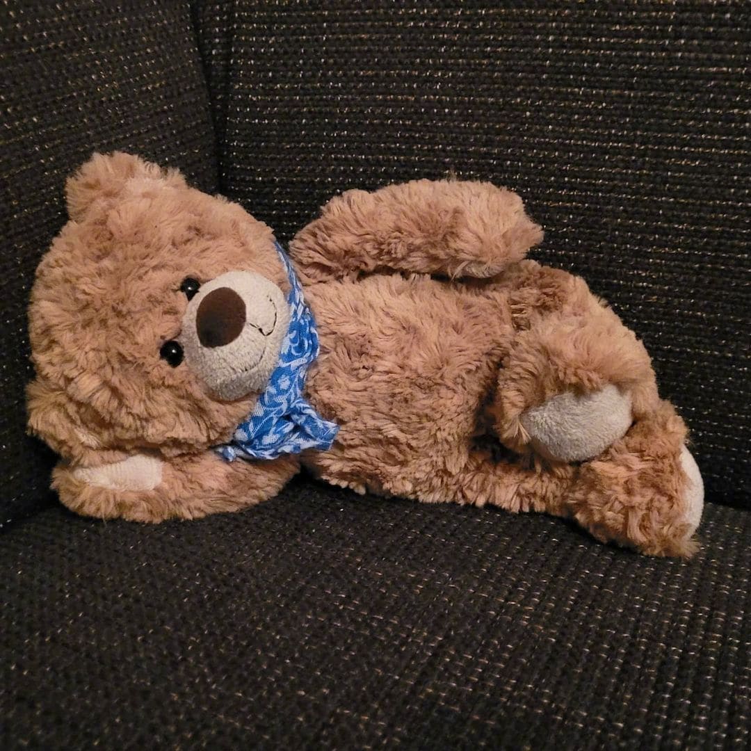 Lying Teddy Bear · S447