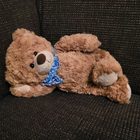 Lying Teddy Bear · S447